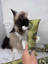 Load image into Gallery viewer, Original Kicker - Holiday Portraits